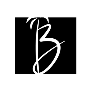 Bries brand logo for bries.fit