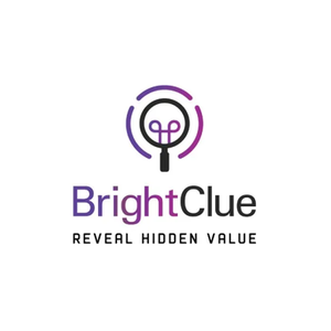 Bright Clue brand logo for brightclue.com