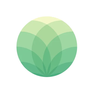 Bristol Massage brand logo for bristolmassageclinic.co.uk