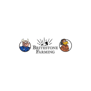 Britestone brand logo for britestone.ca