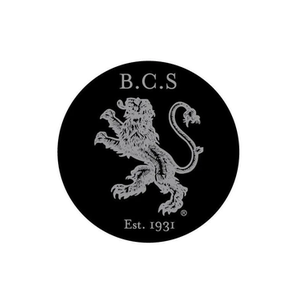 British Colour Standard brand logo for britishcolourstandard.co.uk