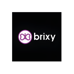 Brixy brand logo for brixy.com