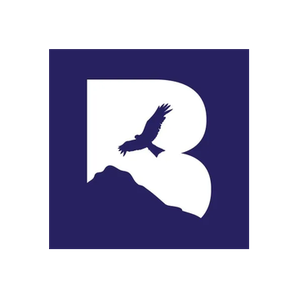 Broadpeak Capital brand logo for broadpeak.com