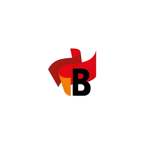Bronevik brand logo for bronevik.com