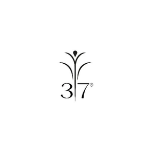 Brook 37 brand logo for brook37.com