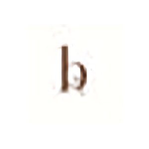 Brown Silk brand logo for brownsilkhair.com