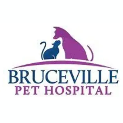 Bruceville brand logo for brucevilleph.com