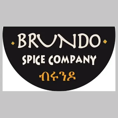 Brundo brand logo for brundo.com