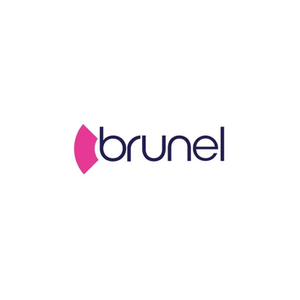 Brunel Security brand logo for brunelsecurity.co.uk