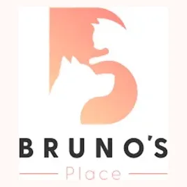 Bruno's Place brand logo for brunosplacebklyn.com
