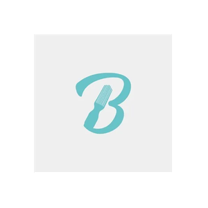 Brush with the Best brand logo for brushwiththebest.com