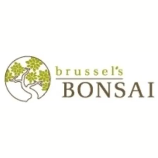 Brussels Bonsai brand logo for brusselsbonsai.com