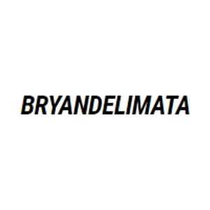 Bryan Delimata brand logo for bryandelimata.com