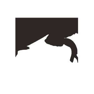 BS LLC brand logo for bsllc.biz