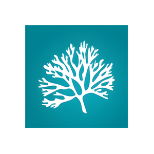 BSA Corals brand logo for bsacorals.com