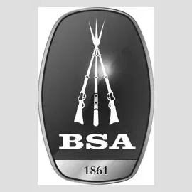 BSA Guns USA brand logo for bsaairguns.com