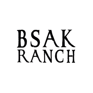 BSA brand logo for bsakranch.com