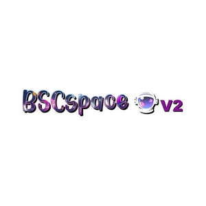 BSC Space brand logo for bscspace.xyz