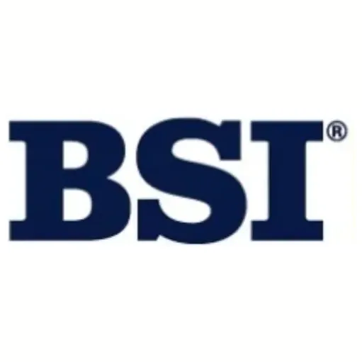 BSI brand logo for bsi.com