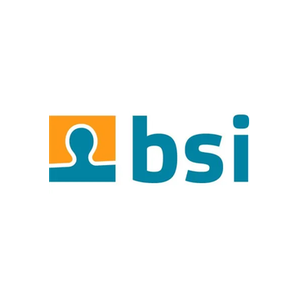 BSI Software brand logo for bsi-software.com