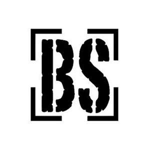 BSWAKE brand logo for bswake.com
