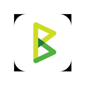 BTCPay Server brand logo for btcpayserver.org