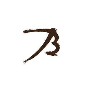 BTH Hotel brand logo for bthhotel.com
