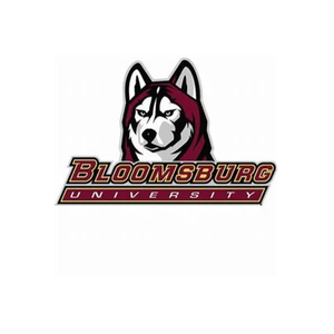 BU brand logo for buhuskies.com