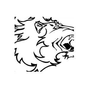Bucci brand logo for buccisunglasses.com