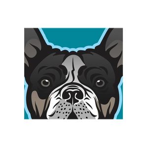 Bucho's brand logo for buchosbarkery.com