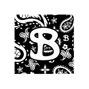 Bucket Squad brand logo for bucketsquad.com