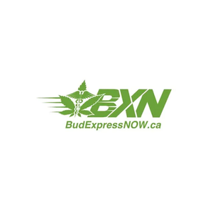 Bud Express Now brand logo for budexpressnow.co