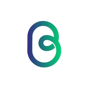 Buddi brand logo for buddi.io