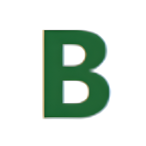 Buddy Works brand logo for buddy.ai