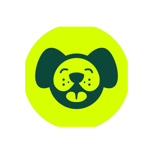 Buddy Rider brand logo for buddyrider.com