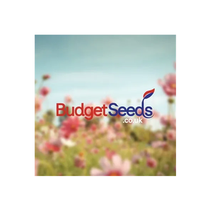 Budget Seeds brand logo for budgetseeds.co.uk
