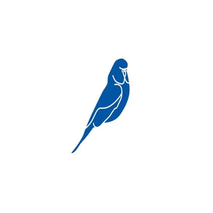 Budgy Smuggler brand logo for budgysmuggleruk.com