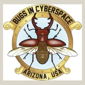Bugs in Cyberspace brand logo for bugsincyberspace.com