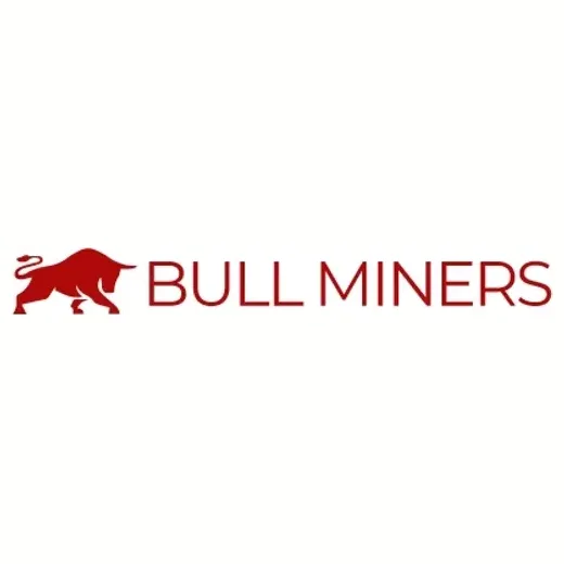Bull Miners brand logo for bullminers.eu