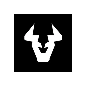 Bull Wall brand logo for bullwall.com