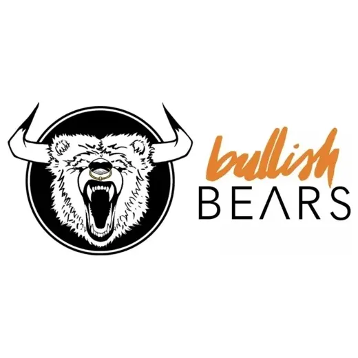 Bullish Bears brand logo for bullishbears.com