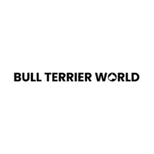 bullterrier brand logo for bullterrier.world