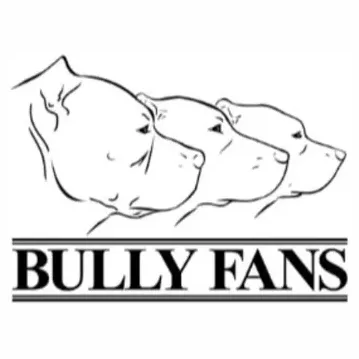 Bully Fans brand logo for bullyfans.com