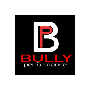 Bully Performance brand logo for bullyperformanceaudio.com