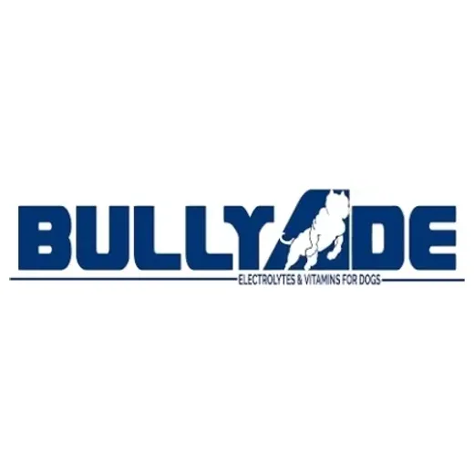 Bullyade brand logo for bullyade.com