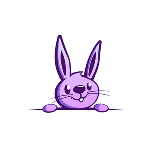 Bunny Hopkins brand logo for bunnyhopkinstoys.com