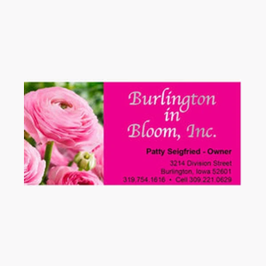 burlingtoninbloom brand logo for burlingtoninbloom.com