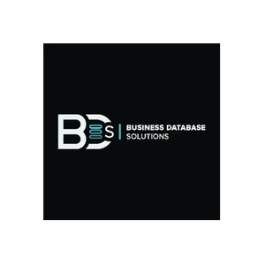 Business Database Solutions brand logo for businessdatabasesolutions.com
