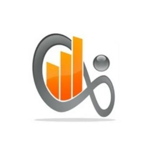 Business Wise brand logo for businesswise.com.au
