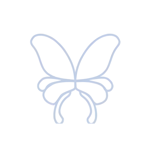 Butterflies & Bikinis brand logo for butterfliesandbikinis.com